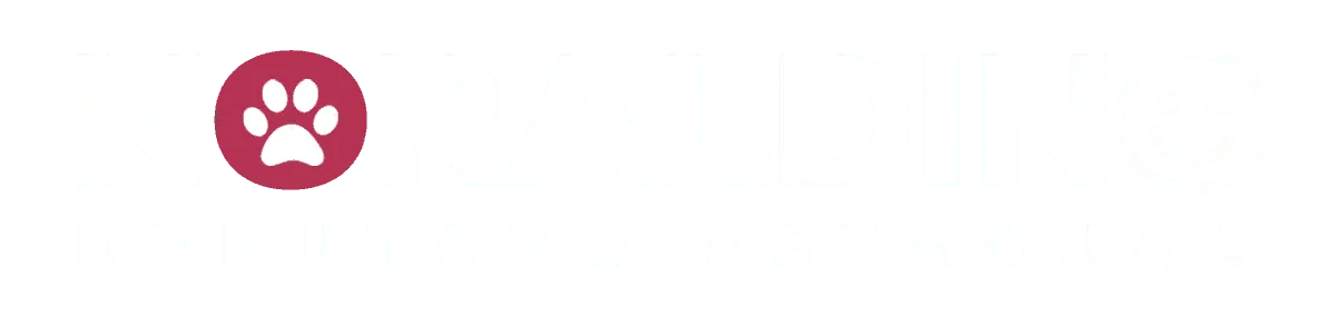 Noraldino Jr.